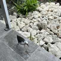 фото из отзыва ID 2682978