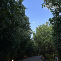 фото из отзыва ID 2682978