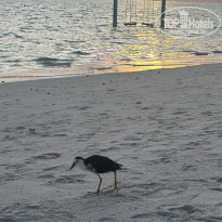 фото из отзыва ID 2682978