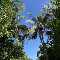 фото из отзыва ID 2682978