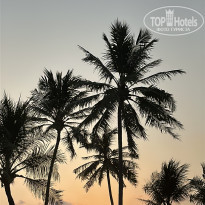 фото из отзыва ID 2682978