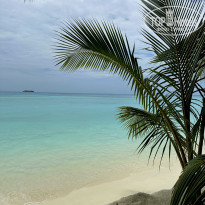 фото из отзыва ID 2682978