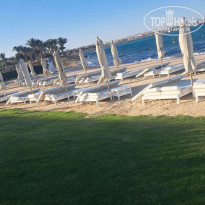 фото из отзыва ID 2683003