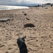 фото из отзыва ID 2683015