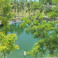 фото из отзыва ID 2683041