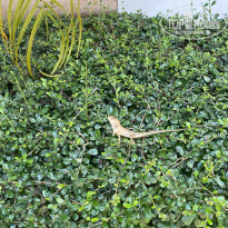 фото из отзыва ID 2683041