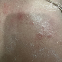 фото из отзыва ID 2683051