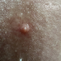 фото из отзыва ID 2683051