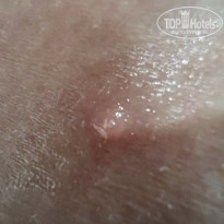 фото из отзыва ID 2683051