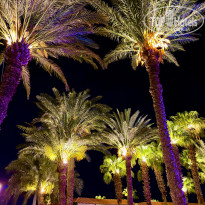 фото из отзыва ID 2683050