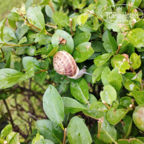 фото из отзыва ID 2683114