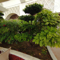 фото из отзыва ID 2683114