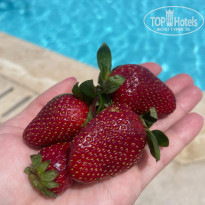 фото из отзыва ID 2683167