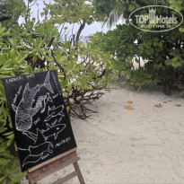 фото из отзыва ID 2683189