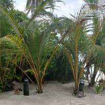 фото из отзыва ID 2683189