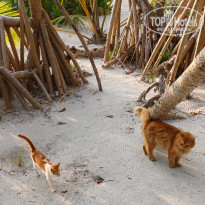 фото из отзыва ID 2683189