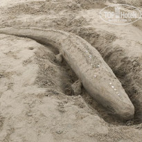 фото из отзыва ID 2683212