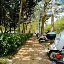 фото из отзыва ID 2683212