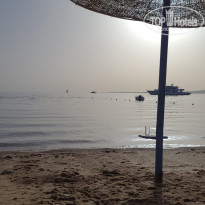 фото из отзыва ID 2683228