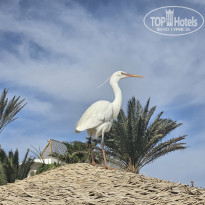 фото из отзыва ID 2683228