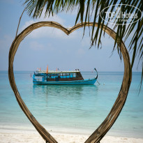 фото из отзыва ID 2683249