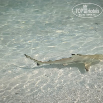 фото из отзыва ID 2683249