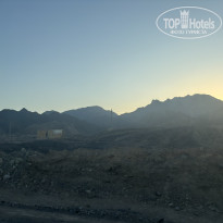 фото из отзыва ID 2683254