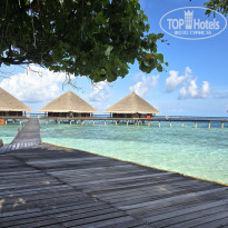 фото из отзыва ID 2683263