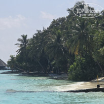 фото из отзыва ID 2683263