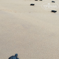 фото из отзыва ID 2683277