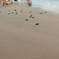 фото из отзыва ID 2683277