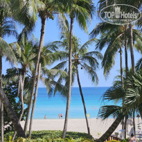 фото из отзыва ID 2683312