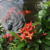 фото из отзыва ID 2683297