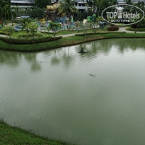 фото из отзыва ID 2683297