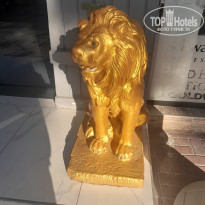 фото из отзыва ID 2683332