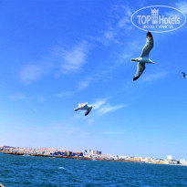 фото из отзыва ID 2683344