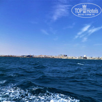 фото из отзыва ID 2683344