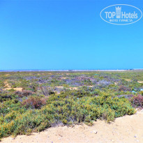 фото из отзыва ID 2683344