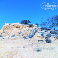 фото из отзыва ID 2683344