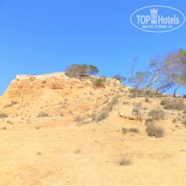 фото из отзыва ID 2683344