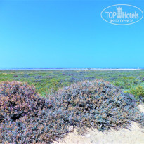 фото из отзыва ID 2683344