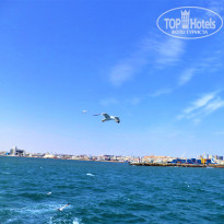 фото из отзыва ID 2683344