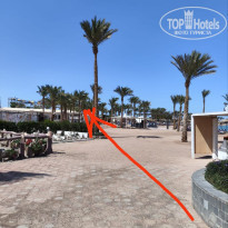 фото из отзыва ID 2683358