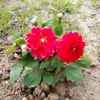 фото из отзыва ID 2683397