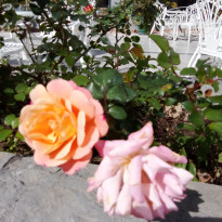 фото из отзыва ID 2683397