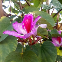 фото из отзыва ID 2683397