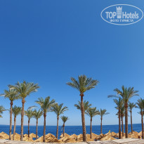 фото из отзыва ID 2683400