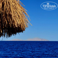 фото из отзыва ID 2683400