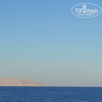 фото из отзыва ID 2683400