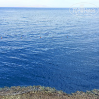 фото из отзыва ID 2683400